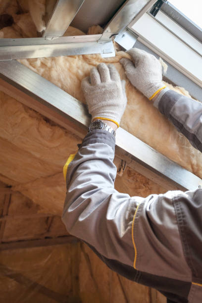 Best Insulation Replacement Services  in Carol Stream, IL