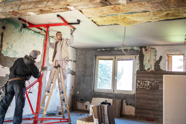 Best Insulation Removal Services  in Carol Stream, IL