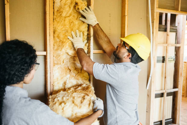 Best Professional Insulation Contractor  in Carol Stream, IL