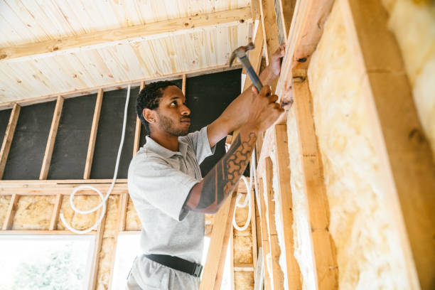 Best Local Insulation Services  in Carol Stream, IL