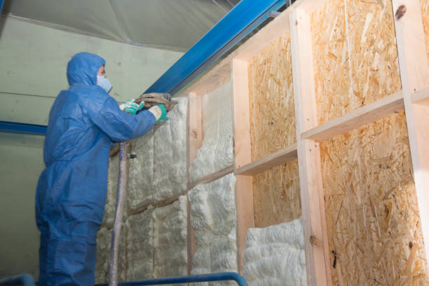 Best Home Insulation Services  in Carol Stream, IL