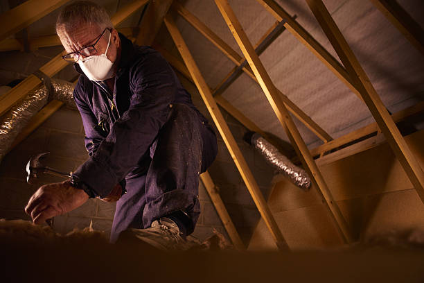 Best Attic Insulation Installation  in Carol Stream, IL